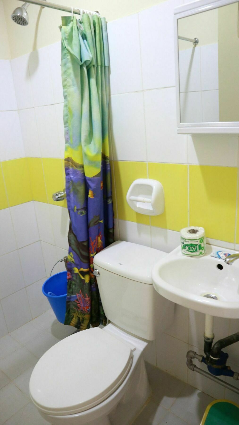 C Tower Studio Apartments Puerto Princesa Eksteriør billede